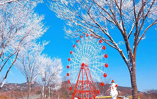 童梦园萌宠戏雪嘉年华