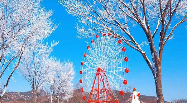 童梦园萌宠戏雪嘉年华