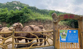 滕州市野生动物园