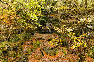 九阜山自然保护区
