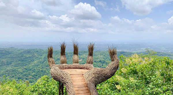 Pinus Pengger Nature Tourism