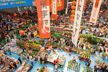 昆明斗南花卉市场第 15 张图片