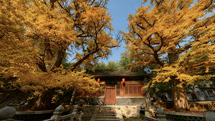 晋祠博物馆第 32 张图片