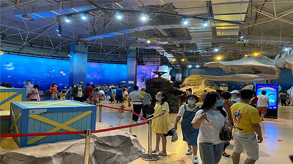 兰州海洋公园第 6 张图片
