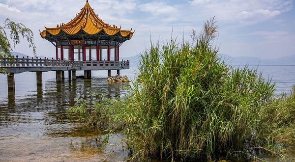 抚仙湖国家湿地公园