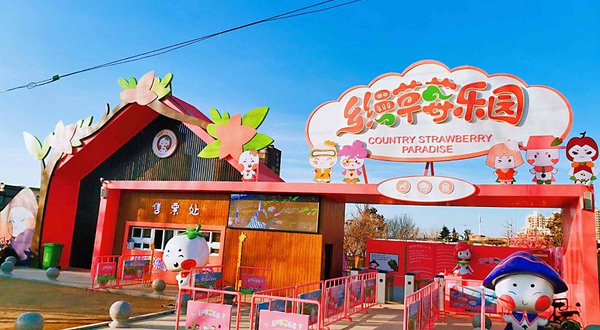 乡缦草莓乐园