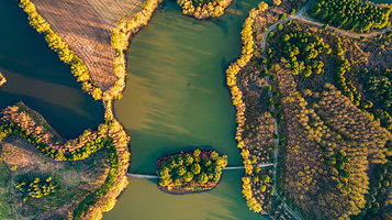 长江药用植物园