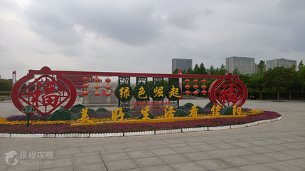 百花园第 6 张图片