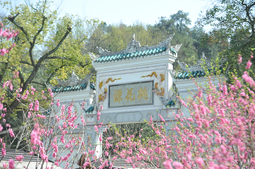 桃花源第 92 张图片
