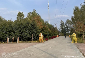 绥化市森林植物园第 3 张图片