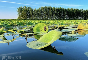 新民小西湖第 2 张图片