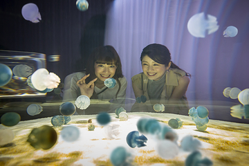 大阪 水生美世界NIFREL第 32 张图片
