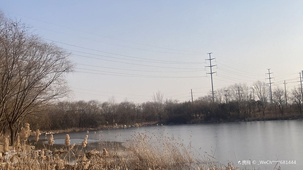 北胶新河湿地公园第 3 张图片