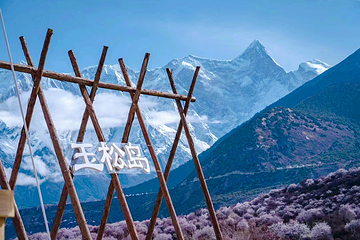 雅鲁藏布大峡谷第 171 张图片