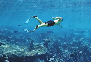 潜客潜水项目中心（分界洲岛店）