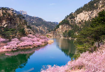 崂山风景区第 165 张图片