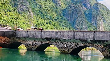 玮走海菜花基地