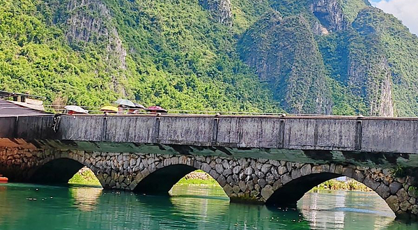 玮走海菜花基地