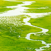 巴音布鲁克景区