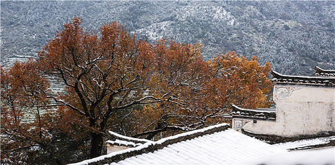 婺源篁岭景区第 270 张图片
