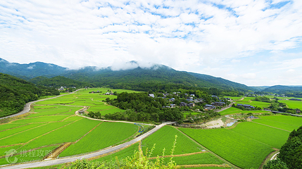 石门梯田第 2 张图片