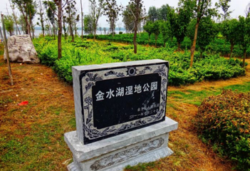 金乡县金水湖国家级湿地公园第 1 张图片