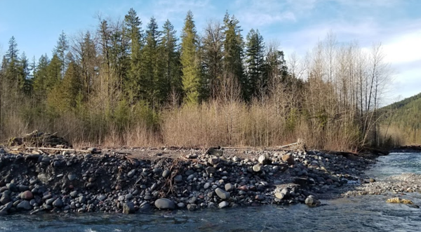 贝克山-斯诺夸尔米国家森林