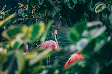 海南海洋欢乐世界度假区第 113 张图片