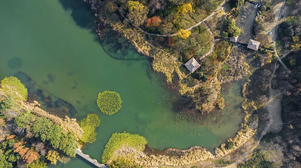 西湖风景区-乌龟潭第 1 张图片