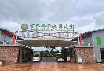 世界热带水果之窗第 24 张图片