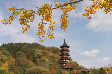 牛首山文化旅游区第 81 张图片
