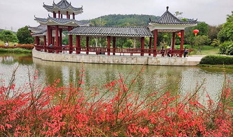 龙岗河湿地公园