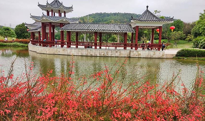 坪地湿地公园第 1 张图片