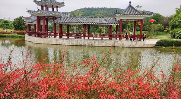 龙岗河湿地公园