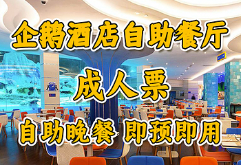珠海长隆企鹅酒店•帝企鹅自助餐厅•儿童岛•真企鹅第 42 张图片