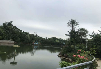 品胜天鹅湖第 14 张图片