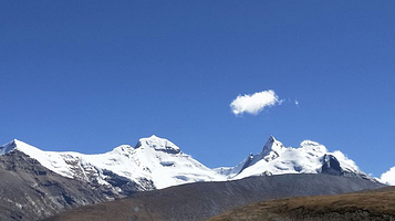雅鲁藏布江黑颈鹤保护区