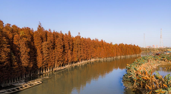 明孝陵景区-燕雀湖风景区