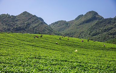 积庆里红茶谷第 41 张图片