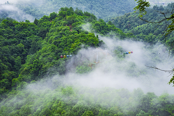 天龙山景区第 55 张图片