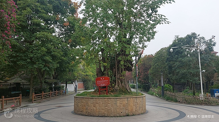 农科村第 5 张图片