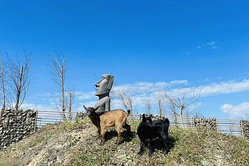 垦丁鹿儿岛水豚生态园区第 8 张图片