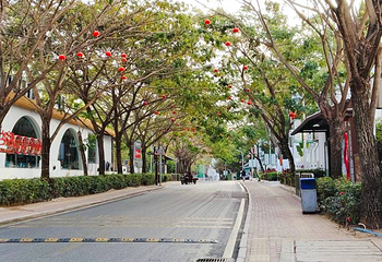 亚龙湾国家旅游度假区第 140 张图片