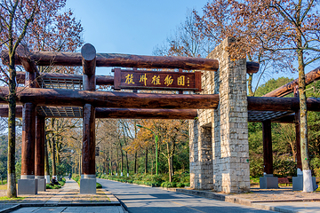 西湖风景名胜区第 255 张图片
