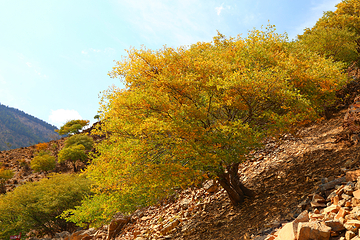 宁夏贺兰山国家森林公园第 11 张图片