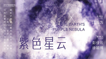 南京矿博会《深潜入 大地的紫色星云》特展