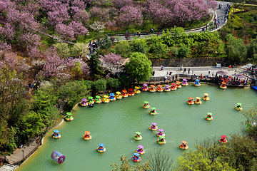 阳光谷旅游度假区第 15 张图片