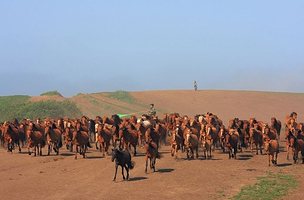 御岱园旅游风景区