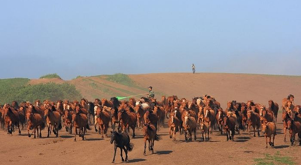 御岱园旅游风景区