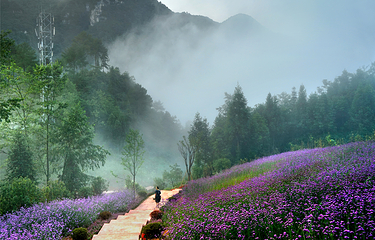 百花谷旅游度假区第 11 张图片